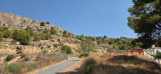 Fondo rustico in Onil. Onil, venta de 320.000 m2 en zona de monte