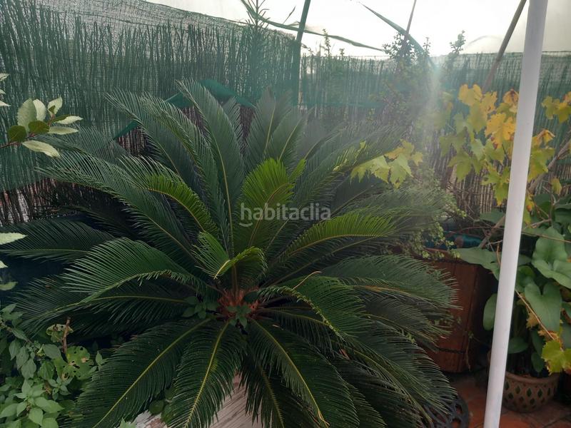 Foto 0a43b0d5-235f-4cd2-8791-c83d31304843. Appartement avec parking dans Cerdanyola Nord Mataró