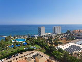 Flat in COLOSO