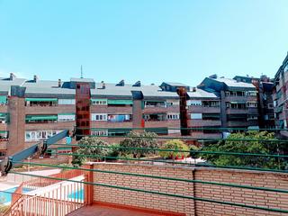 Affitto Appartamento  Pinzon