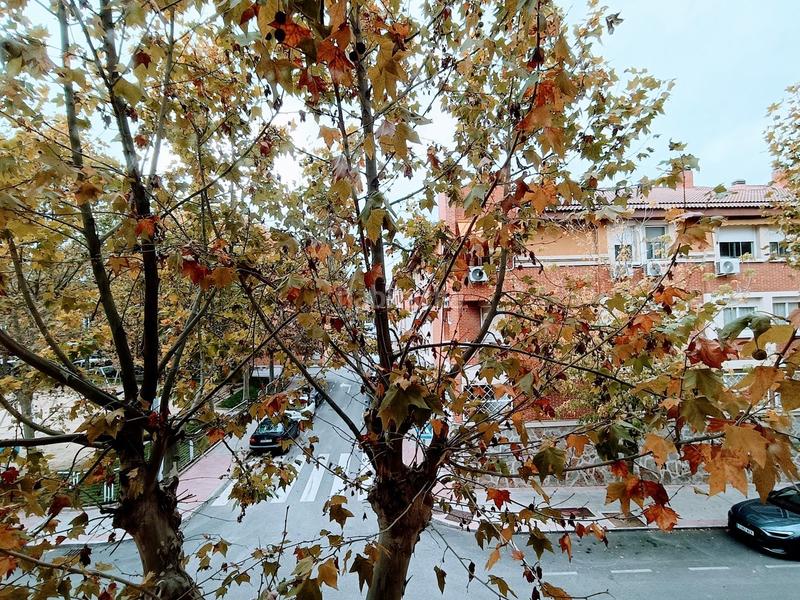 Foto 7005d513-8f25-494a-9c74-f8a200725aa7. Location appartement avec chauffage dans Ibiza-San Pedro Villanueva del Pardillo