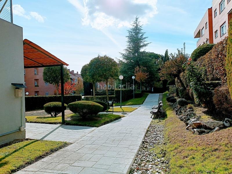 Foto 07cb3137-bf15-42ca-8d41-8ef1cab76300. Alquiler piso en Sector B Boadilla del Monte