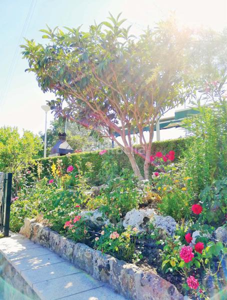 Foto 8878261f-21ae-4059-94d7-64301000b47c. Lloguer pis a Cerceda