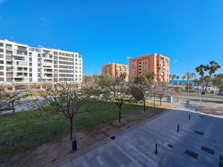 Location Appartement  Pacifico