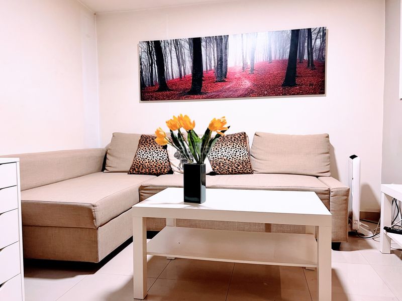 Planta baja en Canillas Madrid - Imagen 4