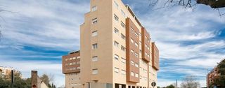 Rent Flat  Trigo