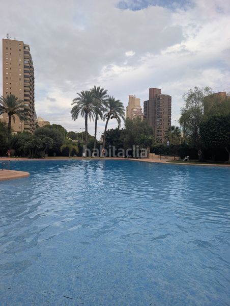 Foto b210e323-4f76-4010-8980-4554cb8c0fe2. Lloguer pis a cala Finestrat Finestrat