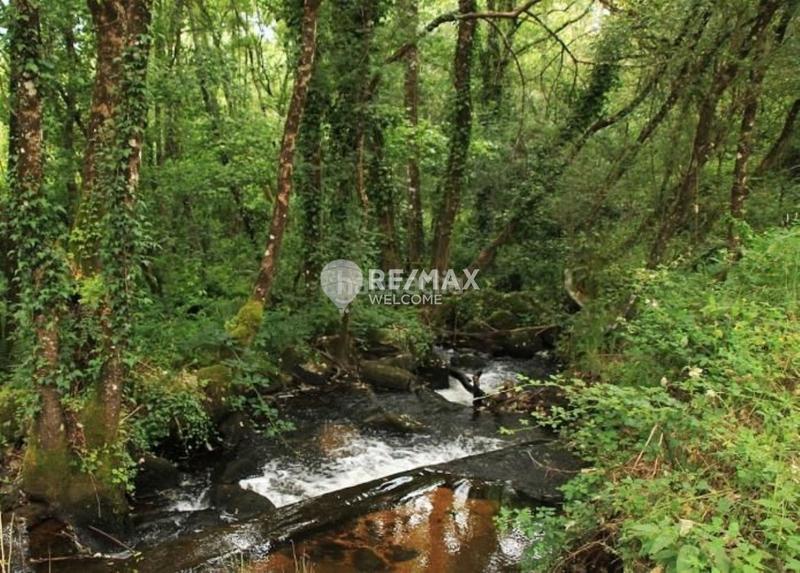 Foto a3f7de52-bb80-446c-afcb-317dac8bd62e. Fondo rustico in San Cibrao das Viñas
