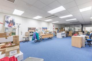 Büro in Manuel Tovar