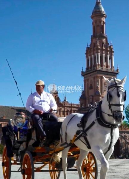 Foto 71b45f55-cc96-4680-94fe-fa3ab94b27c2. Chalet con riscaldamento parcheggio in Heliópolis Sevilla