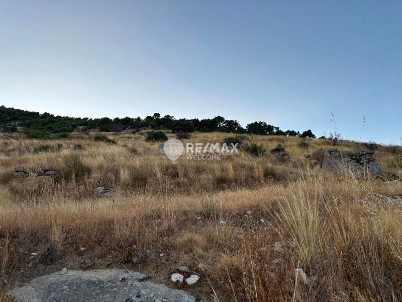 Foto 83d98a9f-b2e7-45ac-a7b1-115ed5d0d89f. Finca rústica a Navalmoral