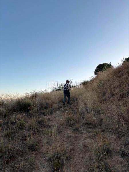 Foto b17f00a3-29ac-4134-af00-d19cb5738488. Finca rústica a Navalmoral