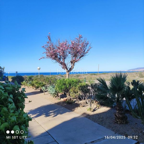 Foto e691312e-7cb5-406f-a6eb-e838ee374cec. Pis amb aparcament piscina a El Toyo Almería