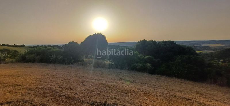 Foto 96c4b80f-dbcb-4436-b3df-fcbf74b35a84. Finca rústica a Vejer Vejer de la Frontera
