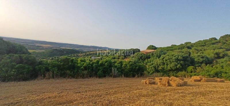 Foto e23d8e43-2da8-46d6-9c6f-a650050c63a1. Finca rústica a Vejer Vejer de la Frontera