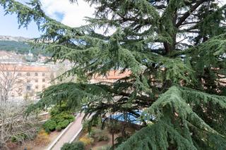 Àtic  C. cañada nueva, 2. Vivienda singular en el corazón de el escorial