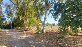 Mas  Los garciagos, polígono 119, parcela 100. Finca rústica de regadío en suelo urbanizable no sectorizado