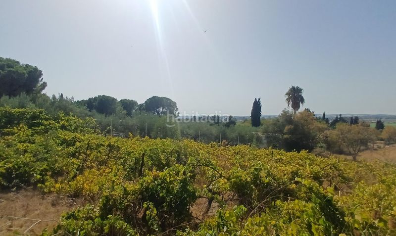 Foto 15986a26-0620-4d41-94f8-d1b15b6b58cb. Masia a El Rocío - La Milagrosa Jerez de la Frontera