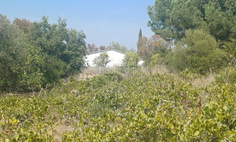 Foto 6a7b0cd2-34bd-4015-b39e-a3dab47ef057. Masia a El Rocío - La Milagrosa Jerez de la Frontera