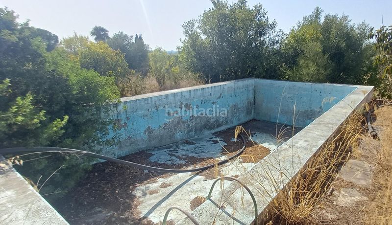 Foto 702017ec-4732-4912-95b1-031a17ed78fc. Masia a El Rocío - La Milagrosa Jerez de la Frontera