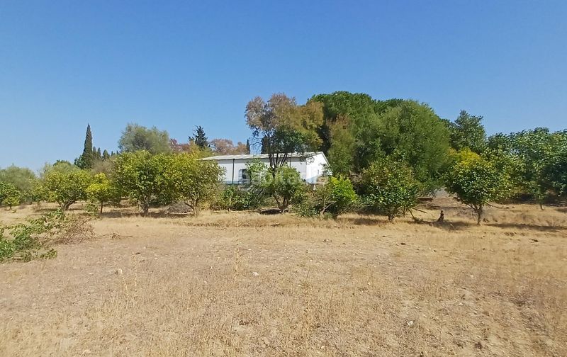 Foto b482e6d8-385a-418e-8cfe-729e873ec3c8. Masia a El Rocío - La Milagrosa Jerez de la Frontera