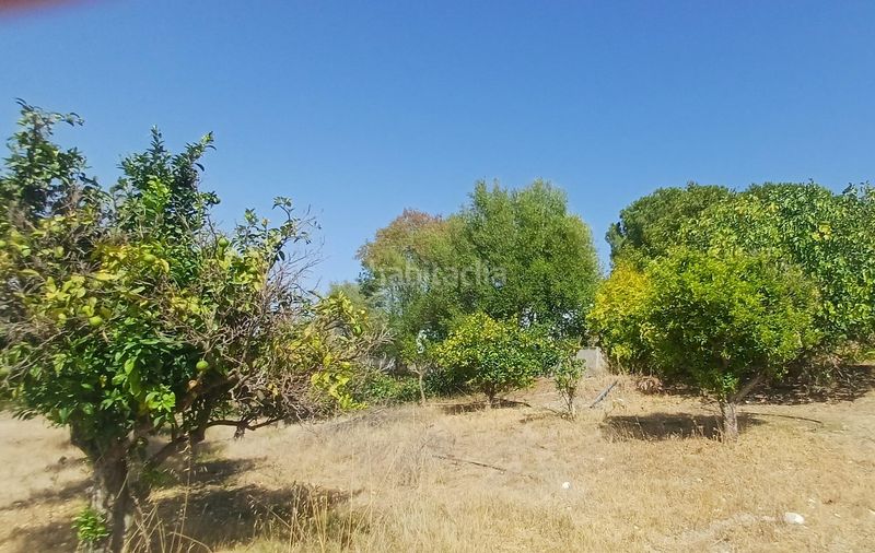 Foto bb96d9fc-b7cc-4a18-b321-c1a451f95175. Masia a El Rocío - La Milagrosa Jerez de la Frontera