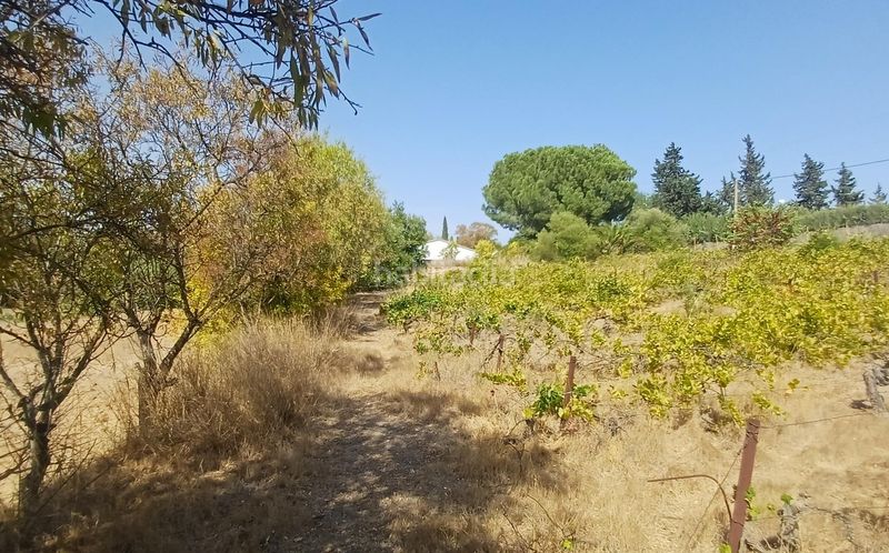 Foto c6aa22bf-020d-4572-8285-17e767fcb955. Masia a El Rocío - La Milagrosa Jerez de la Frontera