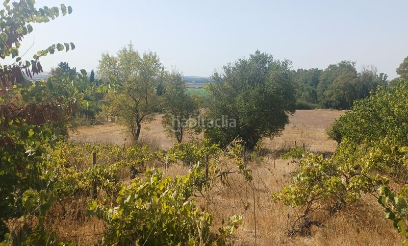 Foto c8a8e687-e608-4107-b9b5-3167fcac1636. Masia a El Rocío - La Milagrosa Jerez de la Frontera