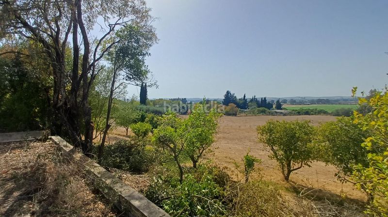 Foto e72e1aba-fbe9-4877-98e2-f94a71990cc4. Masia a El Rocío - La Milagrosa Jerez de la Frontera