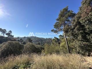 Terreny residencial  Catalpa. Solar en venta en la floresta