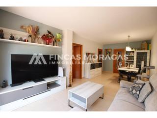 Pis  Creu de coll fav. Precioso piso en venta en coll fav