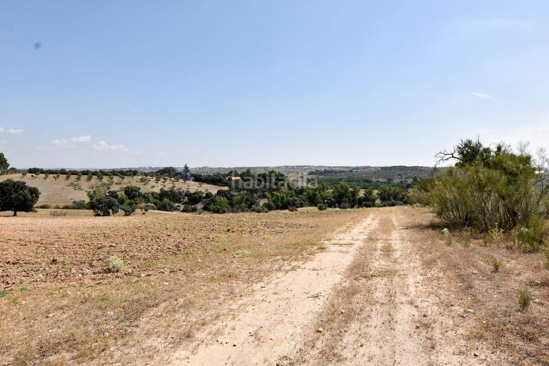 Foto 12352de2-7aea-47c6-9f0c-4c932c56c2cb. Mas avec piscine dans La Dehesa - El Pinar Navalcarnero