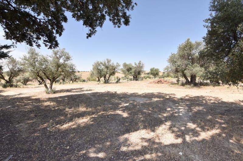 Foto 1a1df1c3-9727-42d6-8507-ce96ddb71374. Mas avec piscine dans La Dehesa - El Pinar Navalcarnero