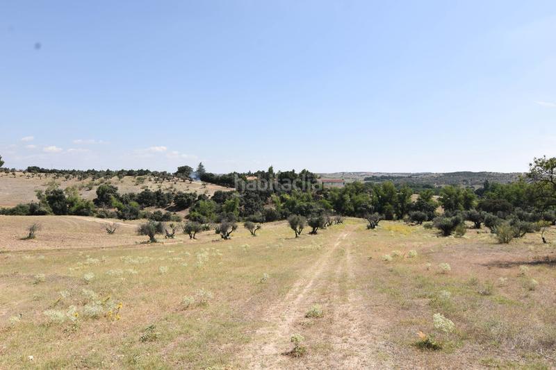 Foto 273f39c3-38fe-46e3-b305-ca278453ecf8. Mas avec piscine dans La Dehesa - El Pinar Navalcarnero