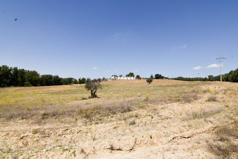 Foto 325fb876-5389-49d6-828c-b2b94fff6ef0. Mas avec piscine dans La Dehesa - El Pinar Navalcarnero
