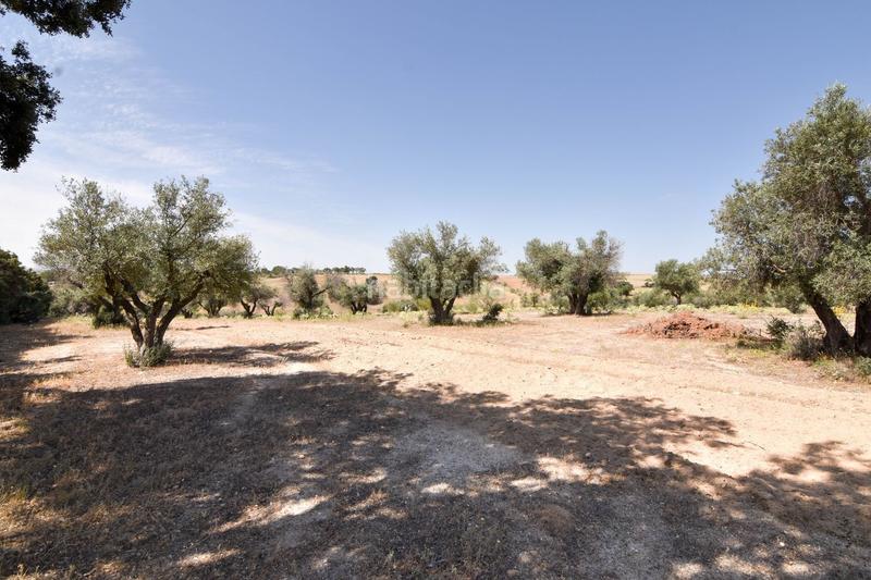 Foto 46ac1868-3cc3-426b-bc16-f1a6bb696994. Mas avec piscine dans La Dehesa - El Pinar Navalcarnero