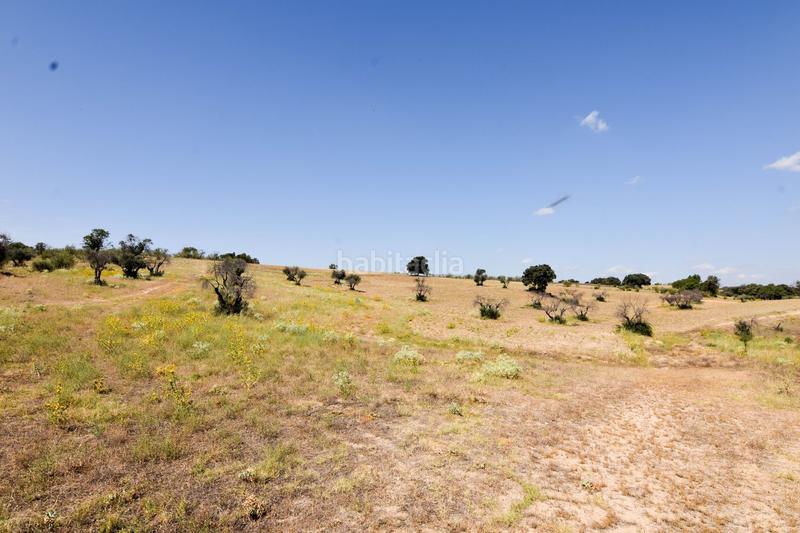 Foto 70569b2c-bf21-484d-9f4f-e418b1326b9b. Mas avec piscine dans La Dehesa - El Pinar Navalcarnero