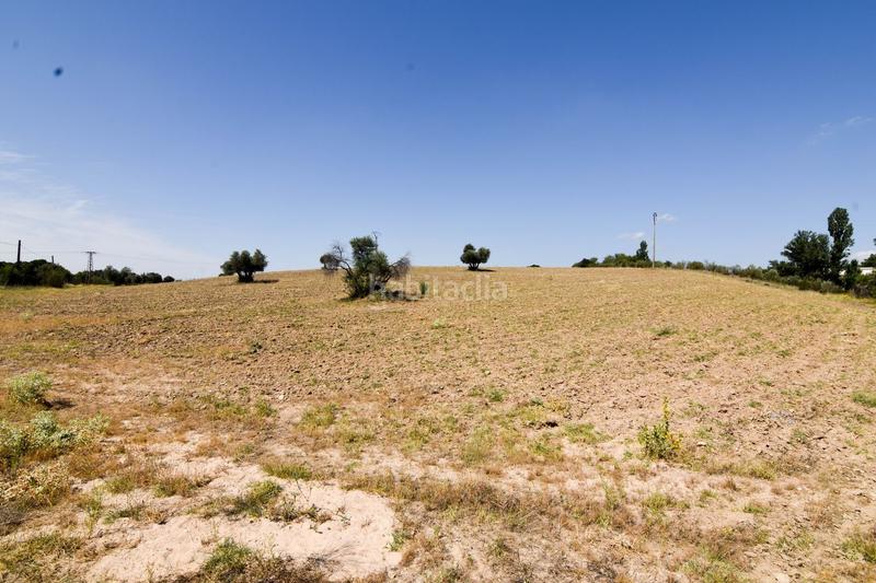 Foto 774a2072-e2f1-41e0-9760-9238f3a59934. Mas avec piscine dans La Dehesa - El Pinar Navalcarnero