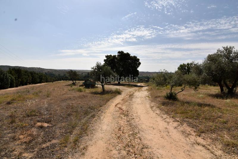 Foto e5ab173c-417f-4750-84e7-5ce6ccf8d243. Mas avec piscine dans La Dehesa - El Pinar Navalcarnero