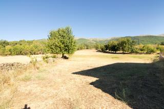 Rural plot in Casavieja