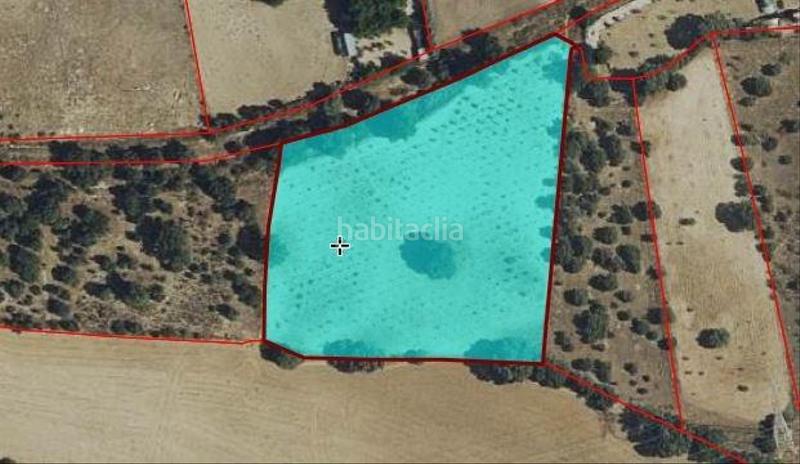 Foto 0468ed0b-a282-4088-85a0-93f49c4fd857. Propriété dans Centro Navalcarnero