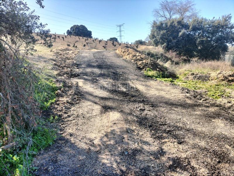 Foto 4d9b0182-1ca2-4efc-ba16-6d13c73b4304. Finca rústica a Centro Navalcarnero