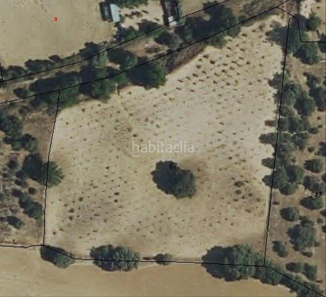 Foto 9ba4e483-093f-436a-a247-2e5a6c666648. Finca rústica en Centro Navalcarnero