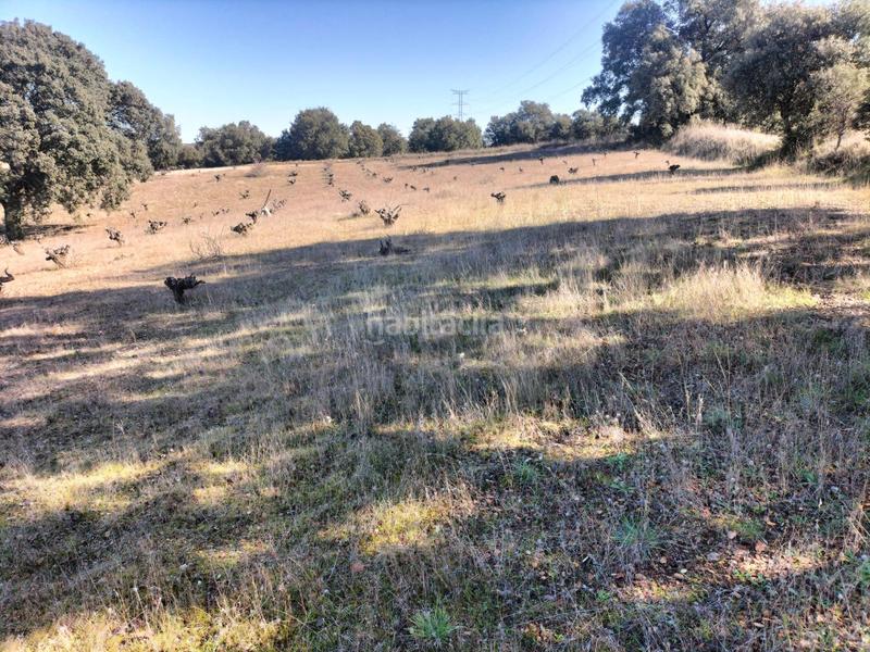 Foto f4582b66-dc36-4662-803e-9ea3f97d5078. Finca rústica en Centro Navalcarnero