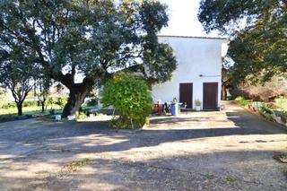 Xalet  Camino finca rustica