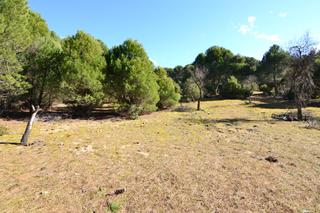Finca rústica  San martín de valdeiglesias