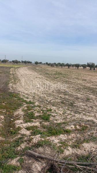 Foto 718bcdef-c320-40fd-97c5-56c06e7789b8. Finca rústica en Camarena