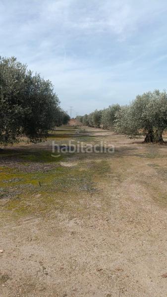 Foto 7f56f823-1007-4133-9798-201981684b71. Finca rústica en Camarena