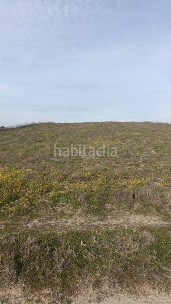 Foto c1ba4bad-247b-4ba1-9b6a-e82f8427db18. Finca rústica en Camarena
