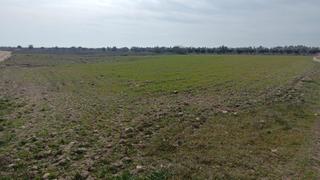 Propriété  Camino camarena